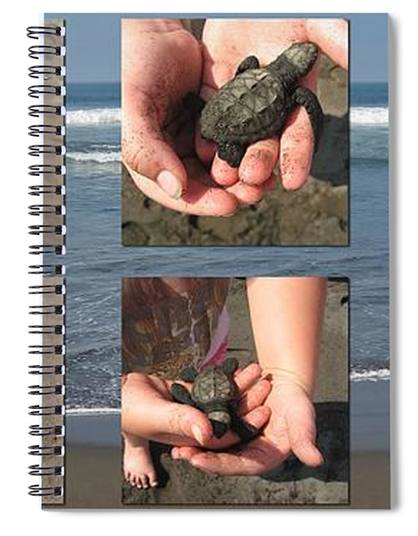 Releasing Baby Turtles into Water - Collage Spiral Notebook by Tatiana Travelways