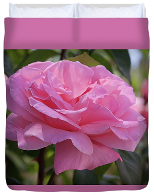 Spanish Pink Rose Duvet Cover by Tatiana Travelways
