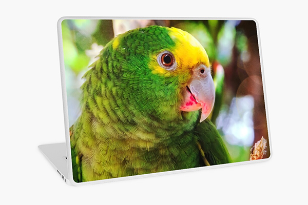 Green parrot Mexico Laptop Skin by travelways
