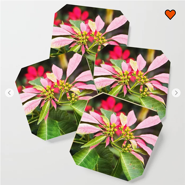 Pink Poinsettia Mexico Coaster by Travelways