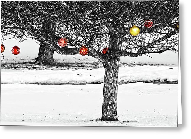 Winter fruits greeting card