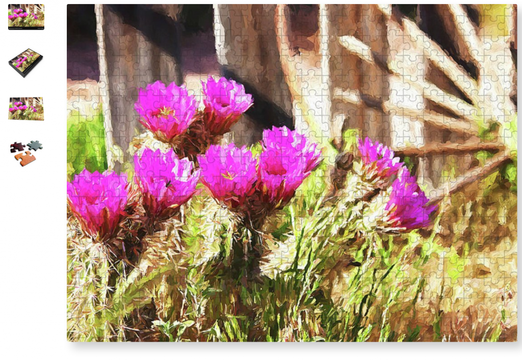 Pink Cactus flowers in Nevada Jigsaw Puzzle by Tatiana Travelways