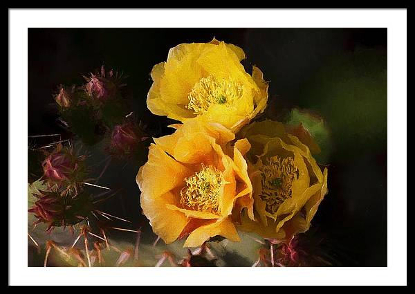 Yellow cactus flowers
