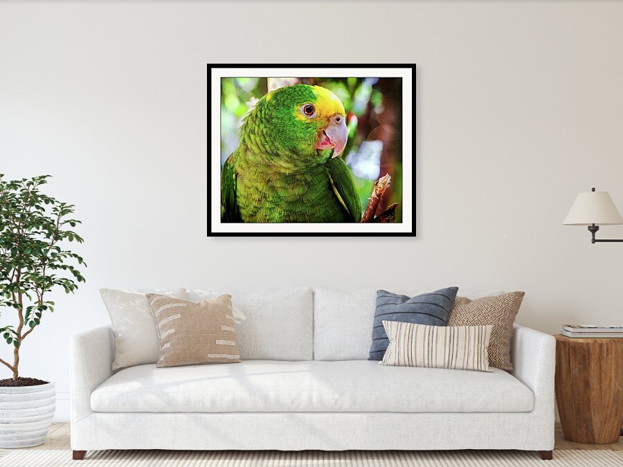 Green parrot framed print by Tatiana Travelways.   Bring your print to life with hundreds of different frame and mat combinations. 