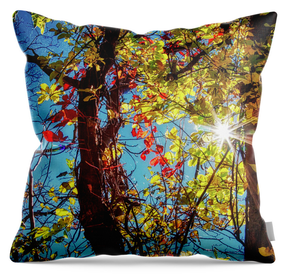 Golden Leaves And Sunburst Throw Pillow Golden leaves and sunburst in Ontario, pillow for home decor, by Tatiana Travelways