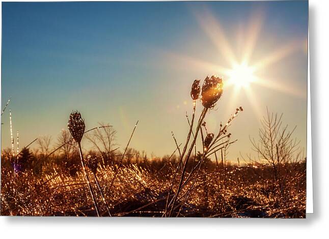 Magical star of light and ice in Ontario, Greeting Card, by Tatiana Travelways