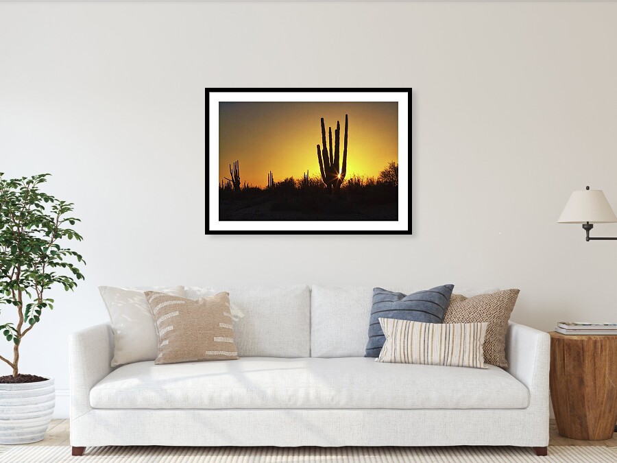 Organ pipe with starburst at golden light framed art print Organ Pipe cactus Framed Print, living-room wall decor, by Tatiana Travelways