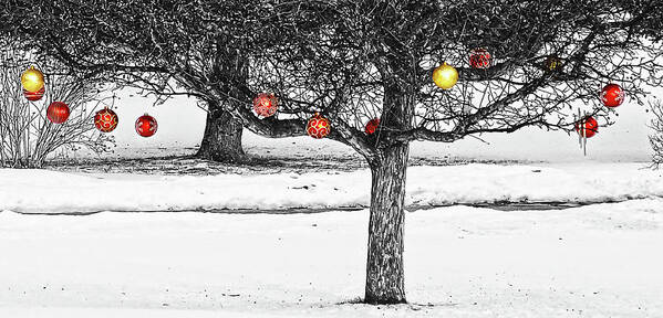 Christmas Art Print featuring the photograph Winter Fruits by Tatiana Travelways An unusual, Christmas and winter holidays image of a bare tree in the snow with hanging red and yellow Christmas globes looking like apples, or other fruits.